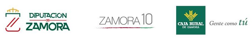 Logos proyecto agenda zamora