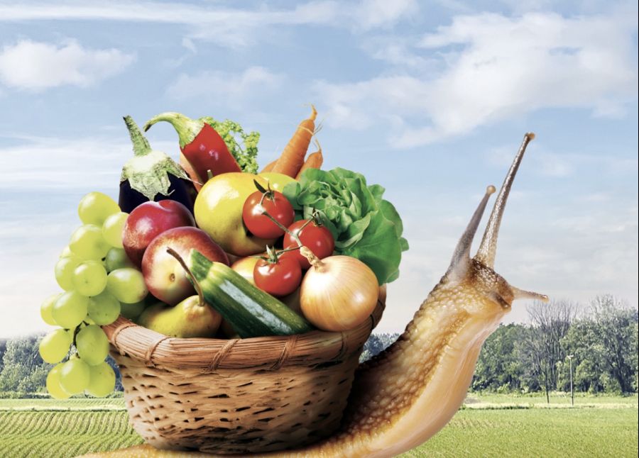 XXI Feria Hispanolusa de Productos ecológicos
