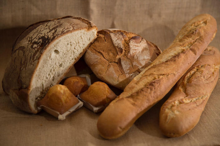 PanFest - Zamora 2027