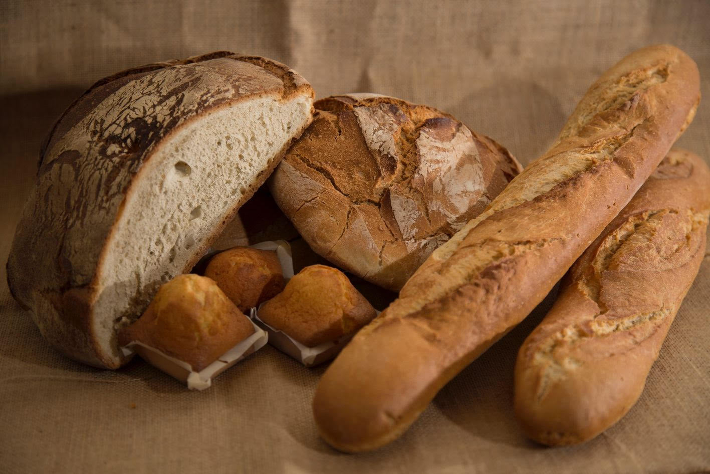 PanFest - Zamora 2027