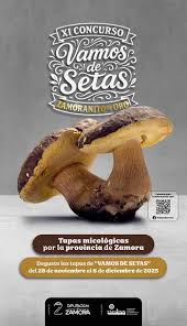 XI Concurso 'Vamos de Setas – Zamoranito de Oro'