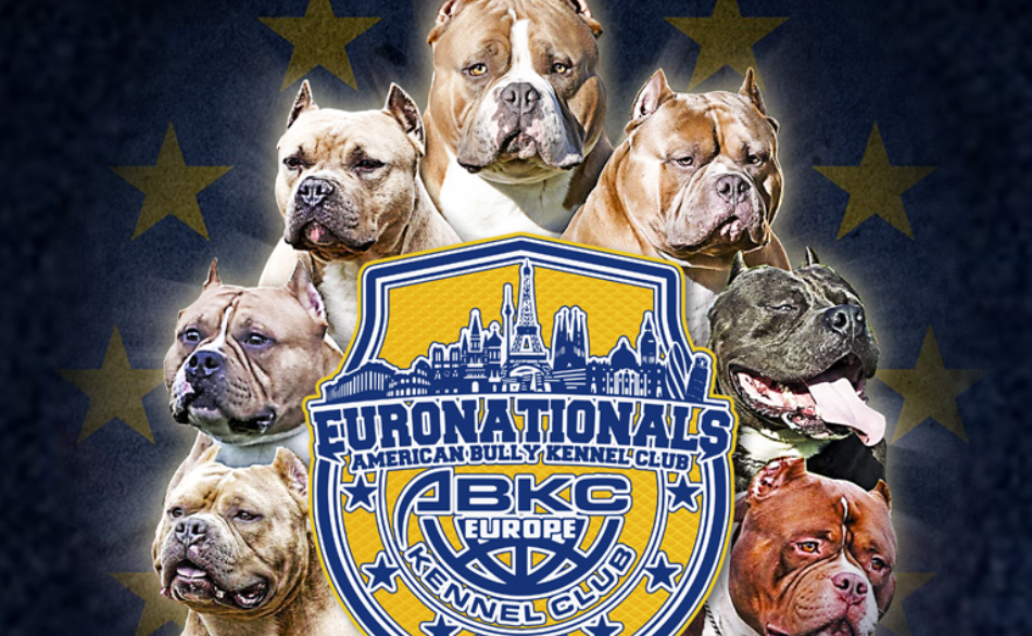 Exposición de Belleza Canina 'American Bully'. (San Antón 2026)